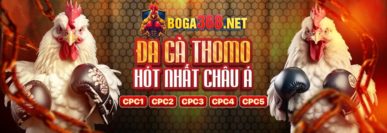Đá gà trực tuyến kịch tính tại ev99 chính thức