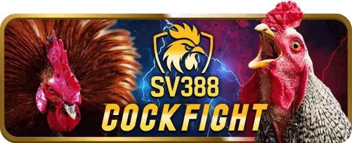Quà tặng sinh nhật và sự kiện VIP
